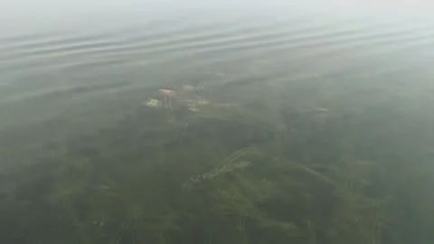 Boat riding in a lake Stock Footage 131662791