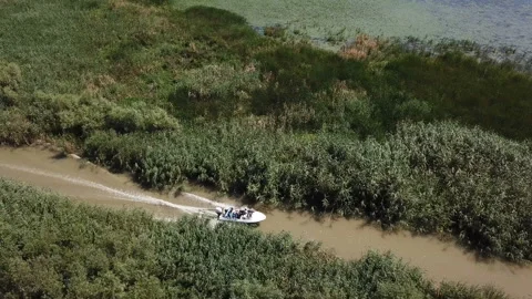Boat on the river 3 Stock Footage 105704706