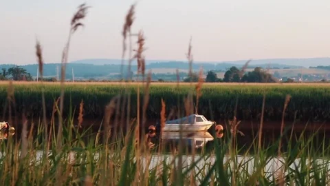 Boat on river (colour graded) Stock Footage 81281673