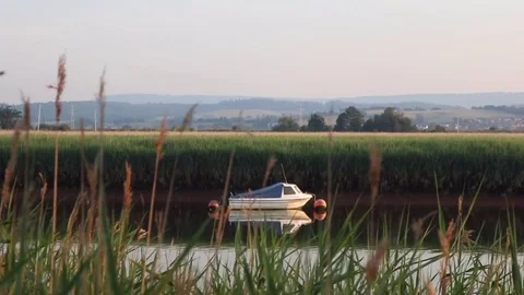 Boat on river Stock Footage 81281661