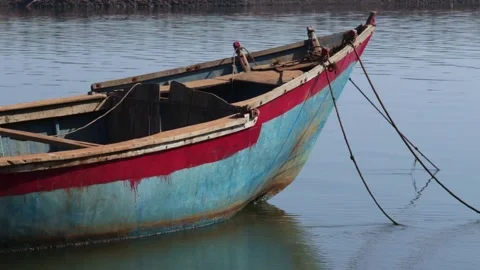 Boat on the river Stock Footage 147554540