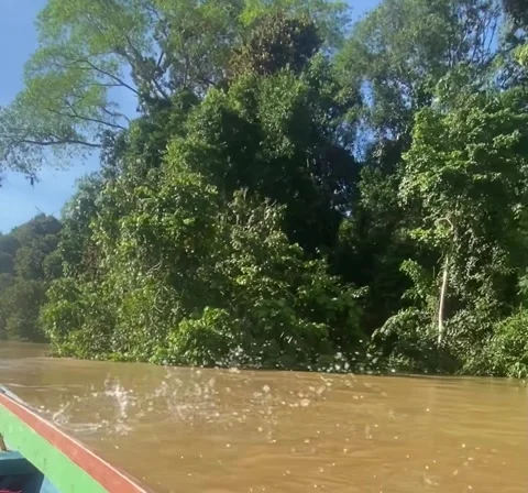 Boat On The River Stock Footage 274458773