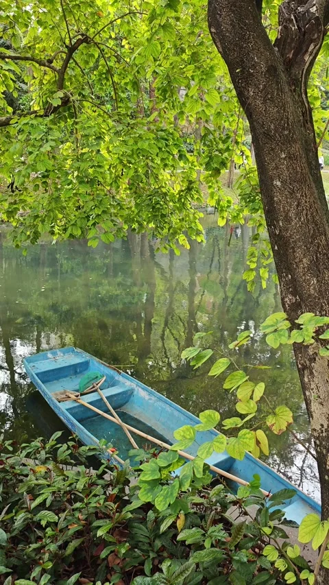 Boat on the river in park Stock Footage 307462191