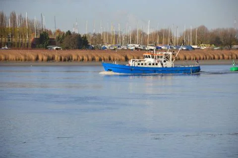 A boat on the river Schelde. Stock-Fotos