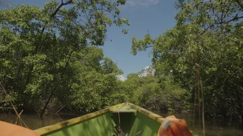 Boat on the river with trees water Stock Footage 199695826