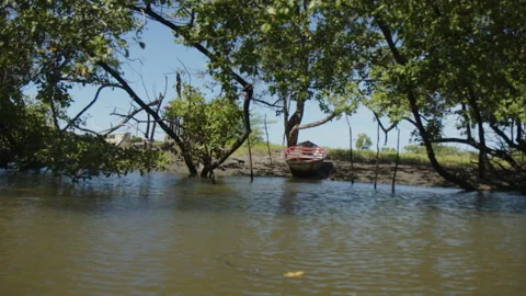 Boat on the river with trees water Stock Footage 200317315