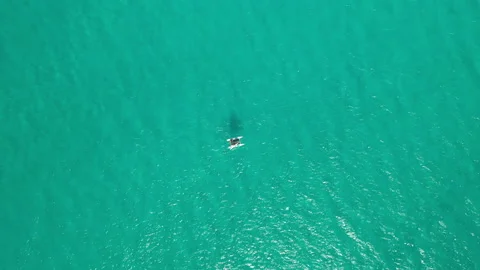 Boat in Riviera Maya Video stock 188510218