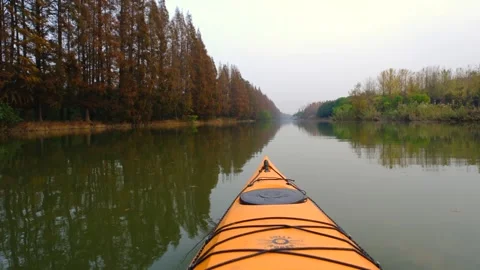 A boat rowed along the trees on a winter day Stock Footage 295166321