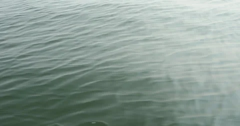 Boat Running in a water Stock Footage 320310029