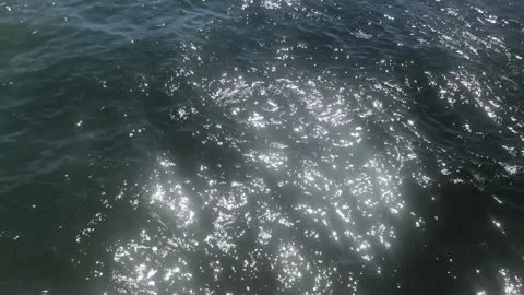 Boat rushing by in the Intercostal 스톡 동영상 172335642