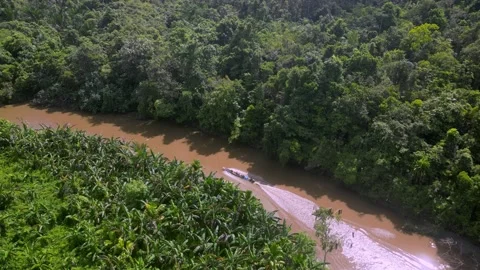 A boat sail on river under the canopy of tropical forest against the backdrop Stock-Footage 335658969