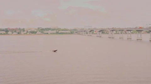 The boat is sailing along the river 库存影片 327984731