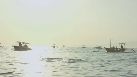 Boat sailing and dolphins diving in the sea Stock Footage 87140063