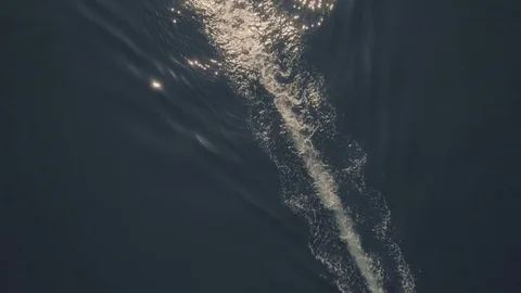 Boat sailing in blue ocean Vídeo Stock 80586416