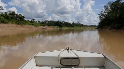 Boat sailing on Purus River in the Amazon Rainforest, Acre, Brazil. Stock Footage 128976774