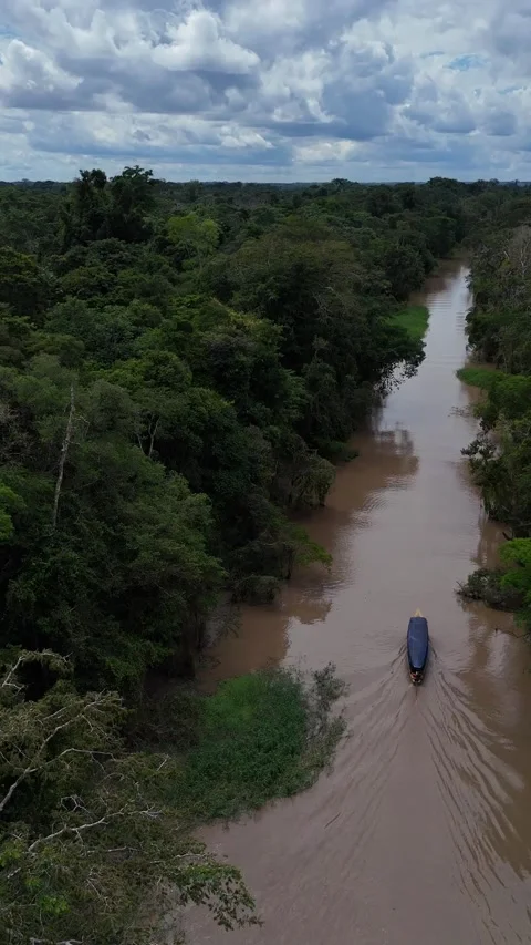 Boat sailing in remote Amazon rainforest waterway 動画素材 316401960