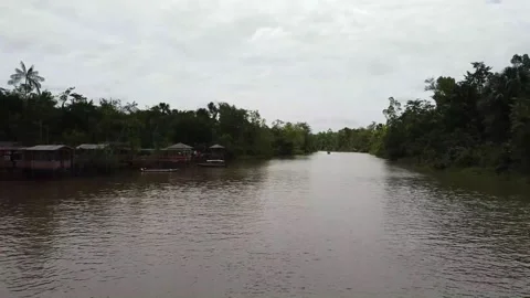 Boat sailing on the river in the amazon, Ilha do Combu Belém do Pará Video stock 195100916