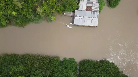 Boat sailing on the river in the amazon, Ilha do Combu em Belém do Pará Video stock 195100919