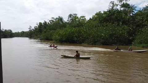 Boat sailing on the river in the amazon, Ilha do Combu em Belém do Pará Video stock 195100948