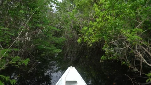Boat sailing in river over forest trees in Amazon rainforest. 4K  Stock Footage 158705282
