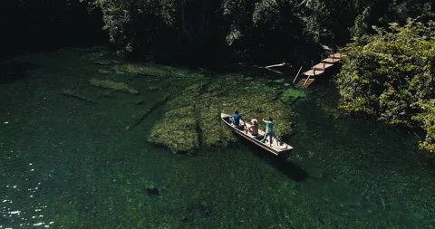 Boat sailing on river through the Amazon region Stock Footage 162521176
