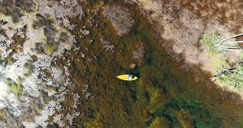 Boat sailing on river through the Amazon region Stock Footage 162523862