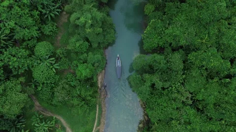 Boat sailing through clear river in lush green forest. Vidéo 332491405