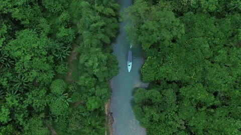 Boat sailing through clear river in lush green forest. Vidéo 332496189
