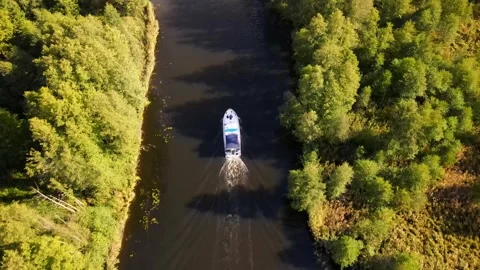 Boat Sails River with Reed and Autumn Forest, Overhead, Germany, 4K Drone Stock Footage 279764260