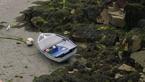 Boat on the sand at the edge of the beach at low tide, in Brittany, France Stock Footage 229738316