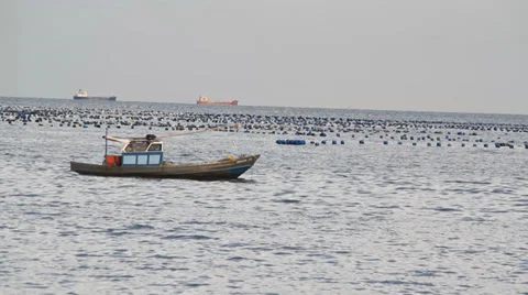 Boat at sea 스톡 동영상 33868661