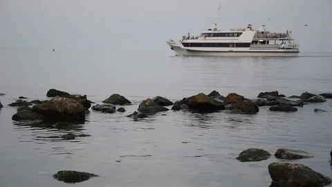 Boat in the sea Stock Footage 81169803