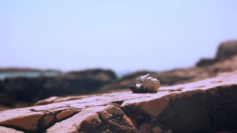Boat on the sea. Stock Footage 96592613