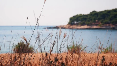 Boat on the sea. Stock Footage 98430019