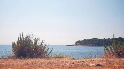 Boat on the sea. Stock Footage 98430023