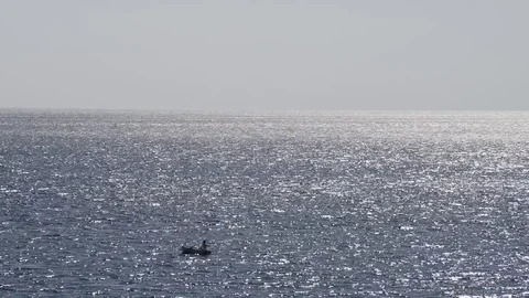 Boat on sea Stock Footage 103165941