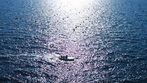 Boat on the sea Stock Footage 128452567