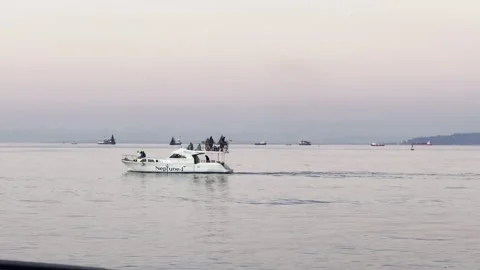 Boat in the sea Stock Footage 229531035