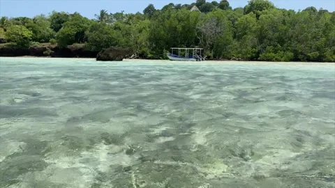 Boat in Shallow clear Water Stock Footage 170193511
