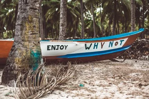 A boat sitting on top of a tree Stock Photos