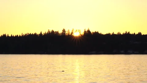 Boat Speeds By as Sun Sets Over Puget Sound Stock Footage 287388455