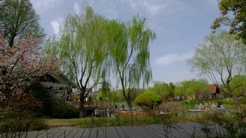 The boat in the spring park slowly passes by Stock Footage 108977896