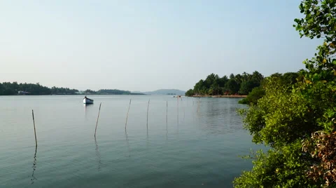 Boat standing on the leash among the river Stock Footage 64655441
