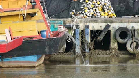 Boat Starting Engine Stock Footage 167655312