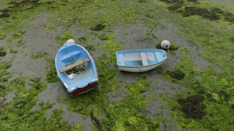 Boat stranded on the moss on the beach at low tide, in Brittany, France Stock Footage 229738467