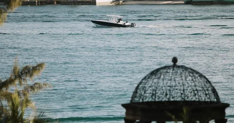 The boat swims from right to left Stock Footage 133387902