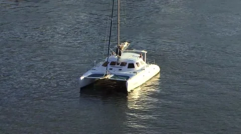 Boat Sydney Harbour Video stock 49998192
