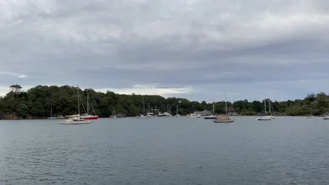 Boat at Sydney Harbour Stock Footage 144259442