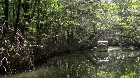 By boat through the canals of the Quebrada river Stock Footage 91194322