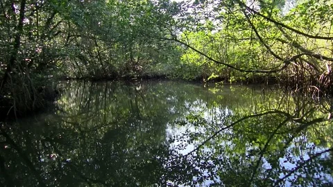 By boat through the canals of the Quebrada river Stock Footage 91194430